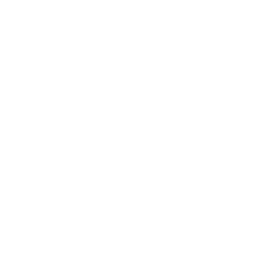 social-icon-instagram